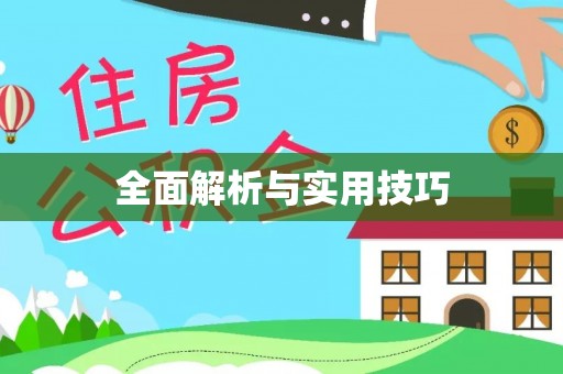 双清全面解析与实用技巧