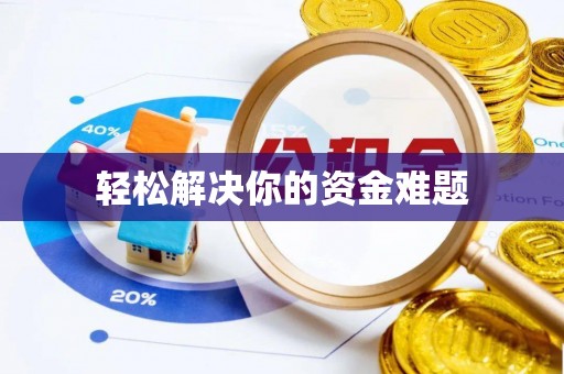 双清轻松解决你的资金难题