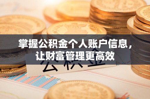 双清掌握公积金个人账户信息，让财富管理更高效