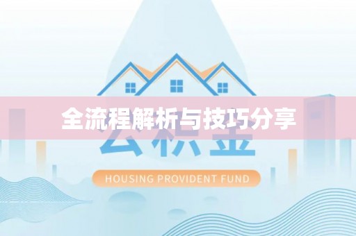 双清全流程解析与技巧分享